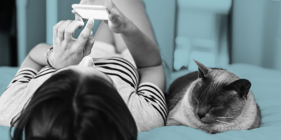 Girl laying on bed beside cat while texting