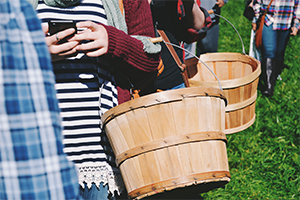 Girl standing in a line of people texting in an orchard