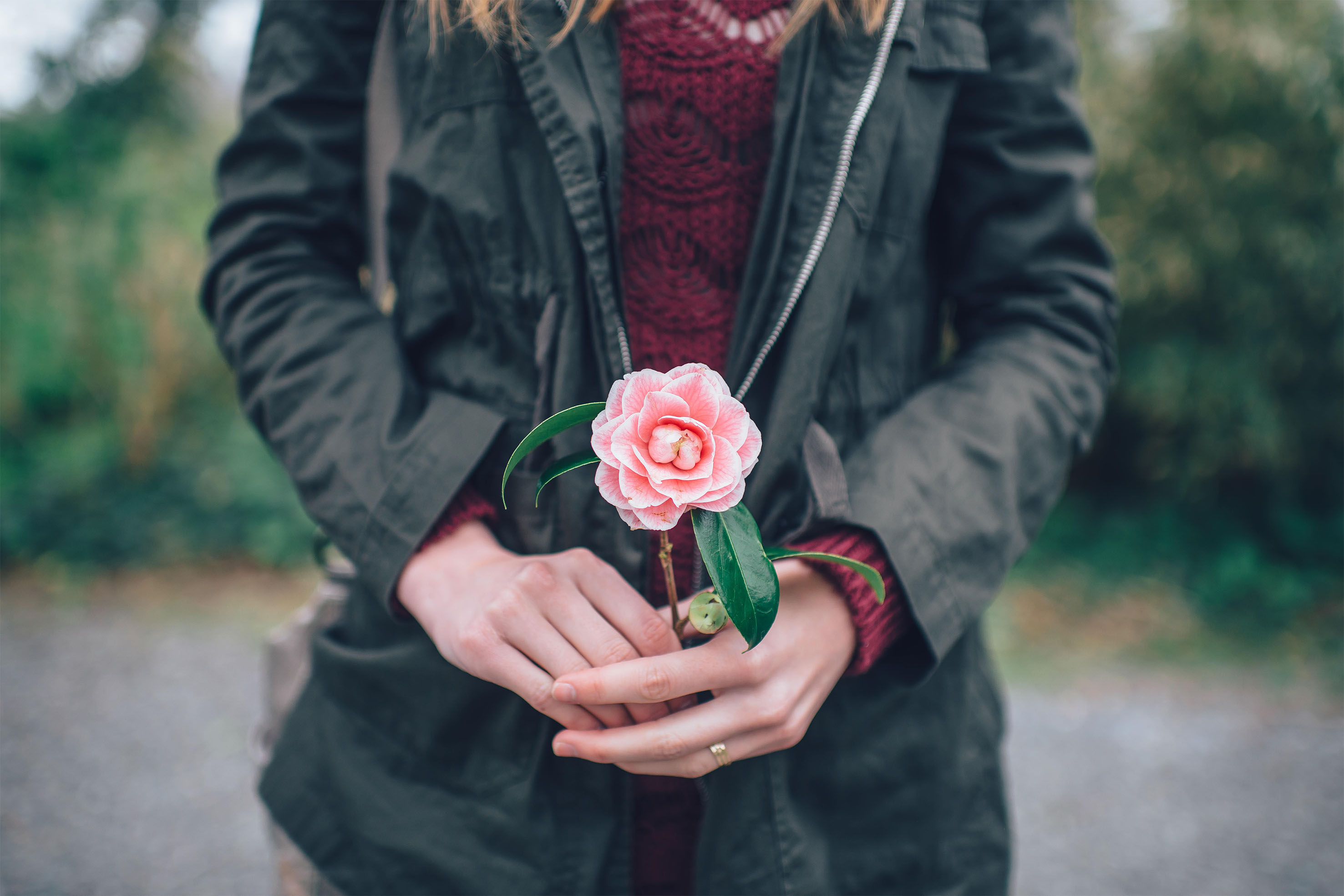 Woman holding a pink rose